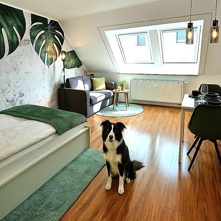 Homely Stay Serenity Greens - Stylisch Studio-Apartment With Kitchen - 10 Min To Central Station, Pet Friendly 뮌헨 외부 사진